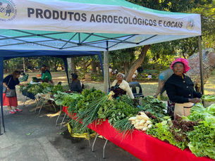Local producers from the districts of Kamavota, Kamubukwana and Marracuene selling their produce in the ABIODES Festival of Earth Products (FPT).