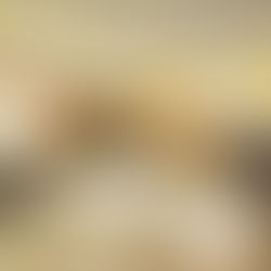 대전 둔산동 압구정 보장된 힐링의 명소!