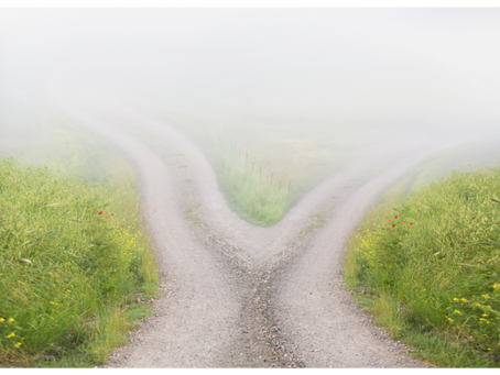 Online CBT Therapy: Navigating the ChoicePoint: Embracing Decision-Making in CBT Therapy