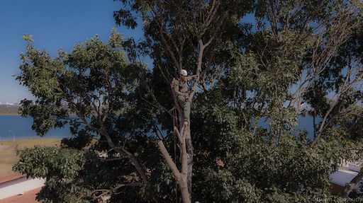 photo_2023-12-21 15.22.58.jpeg