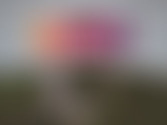 Social Media Sneak Peek #31