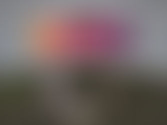 Social Media Sneak Peek #33