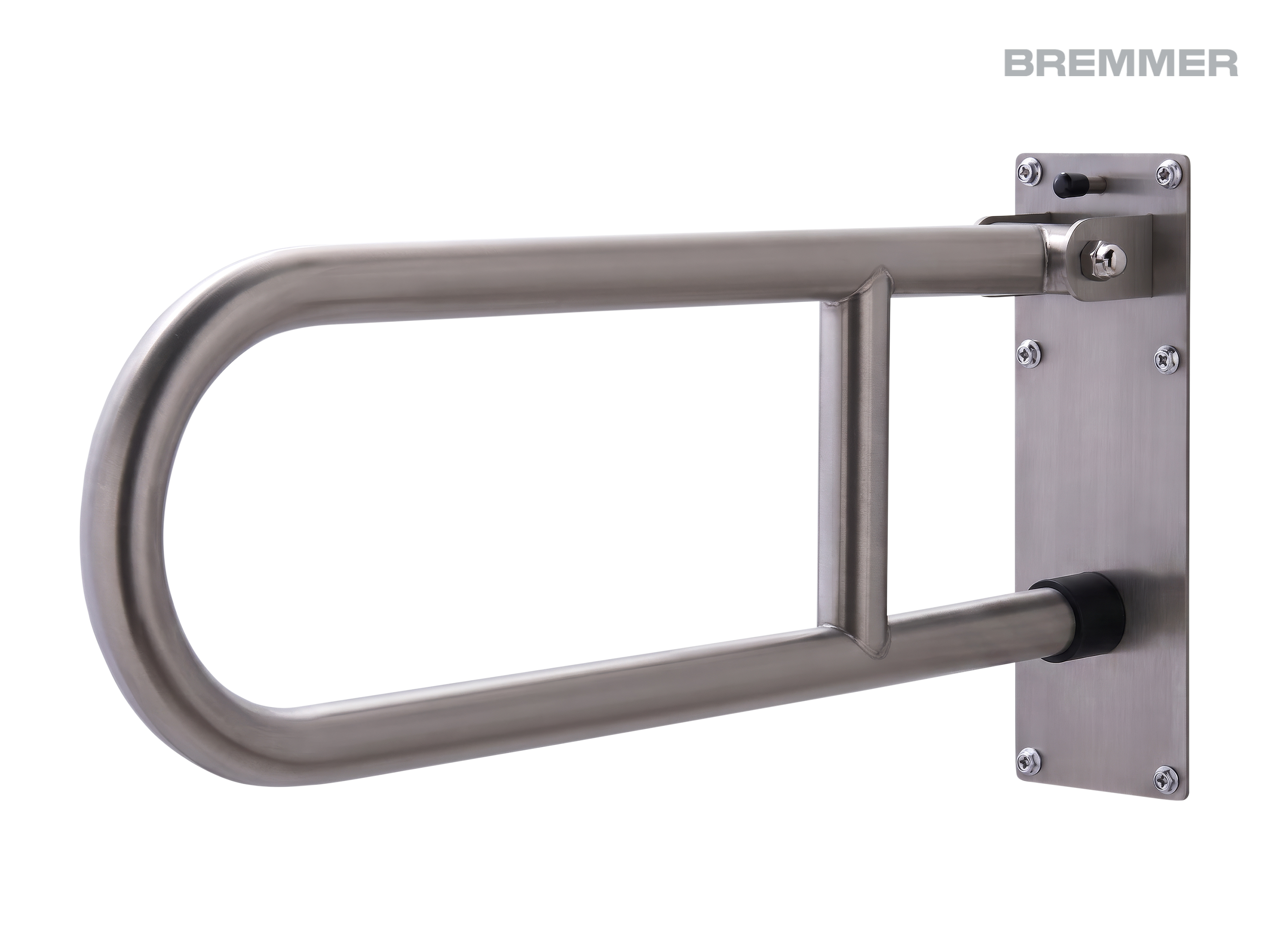 Rina Swing-Up Grab Bar in Brushed Steel