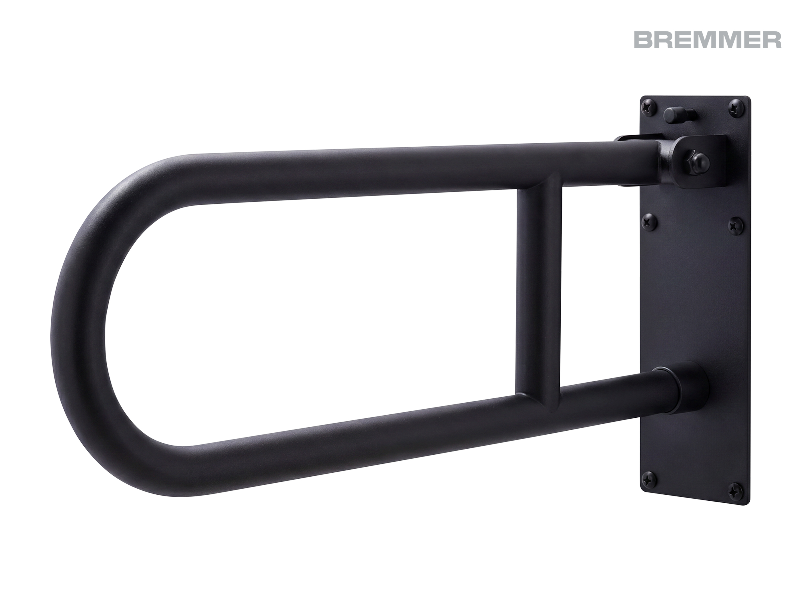 Rina Swing-Up Grab Bar in Black