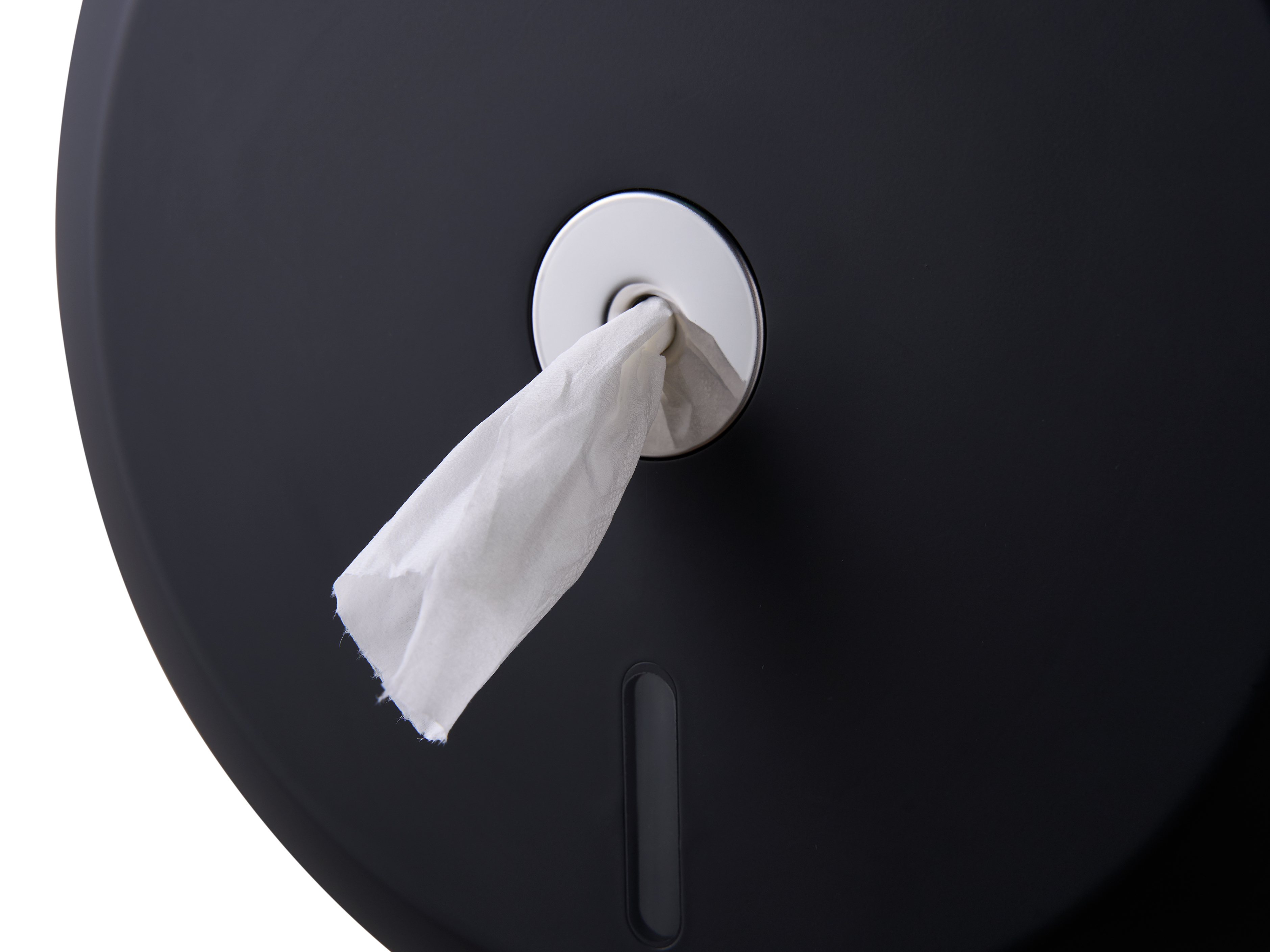 Linea Toilet Roll Dispenser in Black view 4