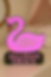 Cisne  con nombre personalizado