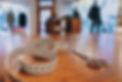 DSC00236.jpg