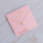 Thumbnail: Understated Beauty Initial Necklace
