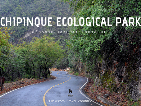 Chipinque Ecological Park @Mexico