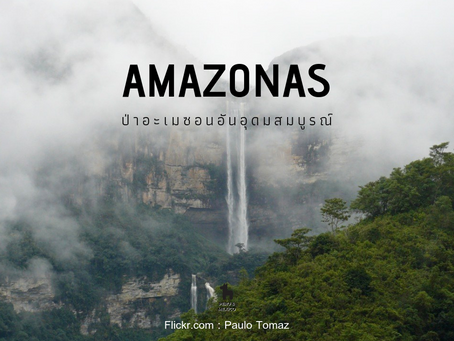 Amazonas ป่าอะเมซอนอันอุดมสมบูรณ์ @Peru