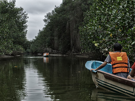 Manglares de Tumbes National Sanctuary @Peru
