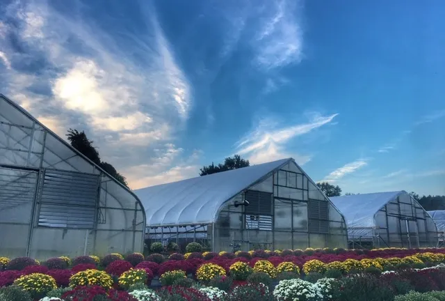 Lanzas Garden Center Wall Township