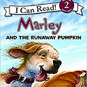 51F8OPahsbL._SX331_BO1,204,203,200_ - Copy.jpg