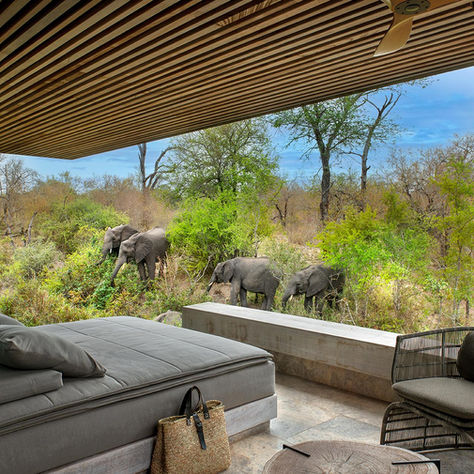 South Africa: My Favourite Luxury Hotels & Lodges