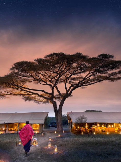 Tanzania & Kenya: The Great Migration