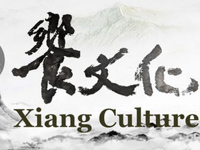 饒舌歌:學中文