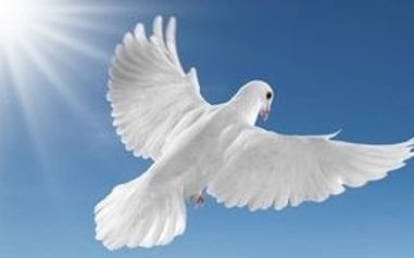 Palliative care Image