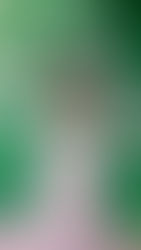 KBJ Teen - 정현지