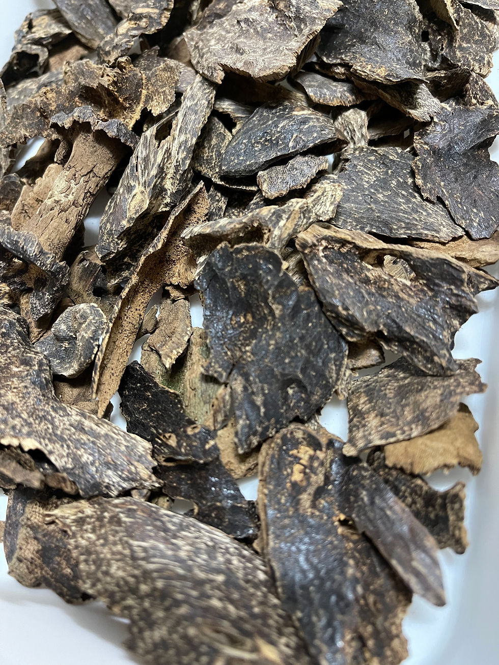 الصورة المصغرة: Mondulkiri V.I.P 