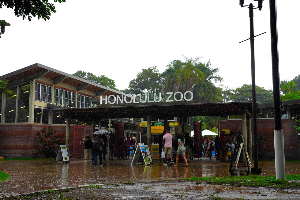 Holidays with the Animals Returns to Honolulu Zoo