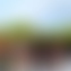 A vibrant group of creators from the set of STAINED poses under a rainbow in Honolulu, showcasing their commitment to community-based storytelling and collaboration in independent filmmaking. Photographed by Robert Moore for RM PHOTOGRAPHY & FILM.