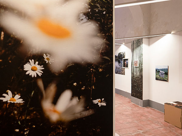 catania exhibition_6.jpg