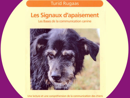 Les signeaux d’apaisement – Turid Rugaas