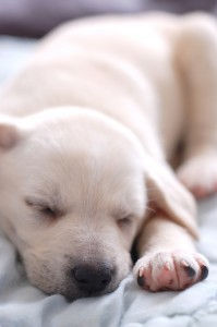 © Suto Norbert | Dreamstime Stock Photos