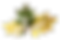 Dry Leaf