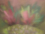Pastel Creations