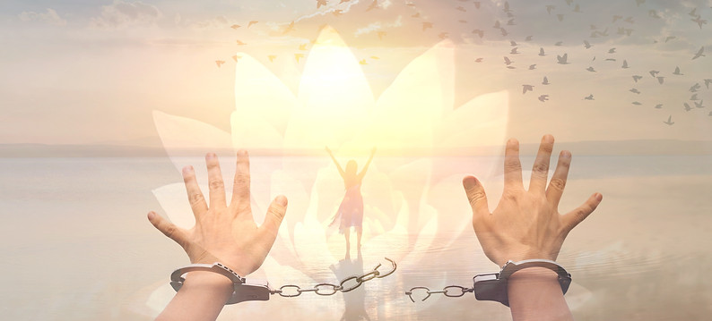 life activation banner_edited.jpg