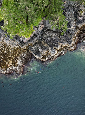 Southeast Alaska shoreline from above during water safety training - Lee House