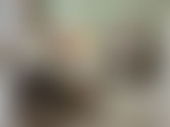 彰化田中黃先生