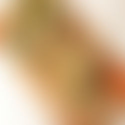 Crispy Tofu Salad Rolls with Peanut Sauce