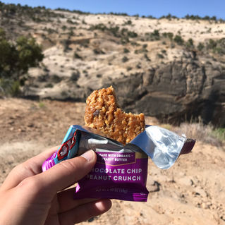 Camping Tips & Tricks for Vegans