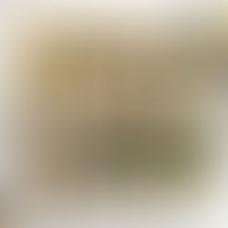 Homemade Vegan Sweet Potato Sushi