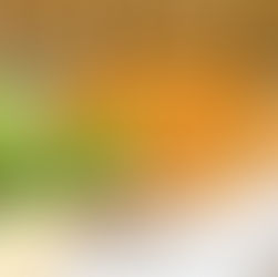 Oil-Free Sweet Potato Quinoa Burgers