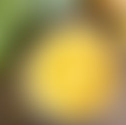 Blended Potato, Leek, and Corn Chowder