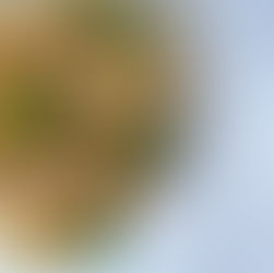 Clean and Easy Oil-Free Veggies