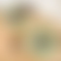 Vegan McDonald's Shamrock Shake