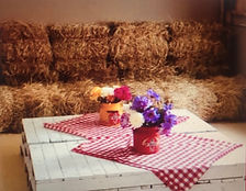Fiesta de granja infantl