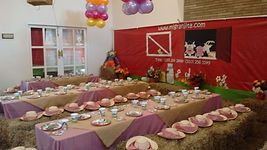 Decoración de granja para fiestas infantiles