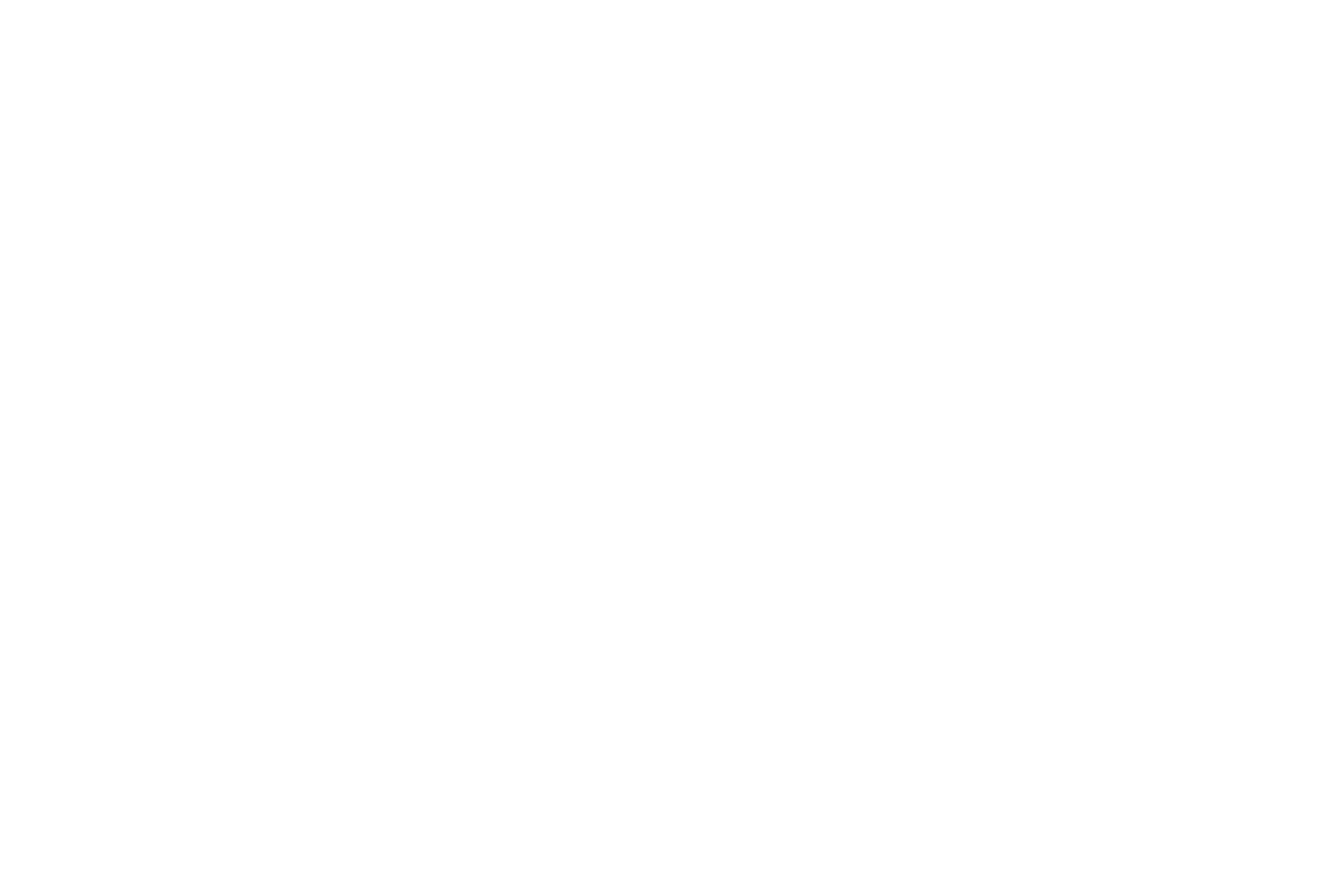 FLIR Logo