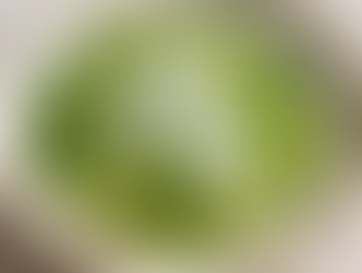 Ein Teller mit lauwarmem Zucchini-Carpaccio, bestehend aus dünnen Zucchinistreifen, garniert mit Rucolablättern und einem cremigen Kräuter-Dressing auf Joghurtbasis. Die Zucchini ist leicht eingerollt und wird von geröstetem Sesam dezent verfeinert. Das Gericht ist auf einem hellen, rustikalen Keramikteller angerichtet, vor neutralem Hintergrund.