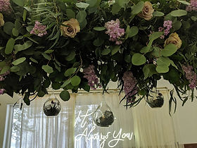 IMG_20200118_111205.jpg