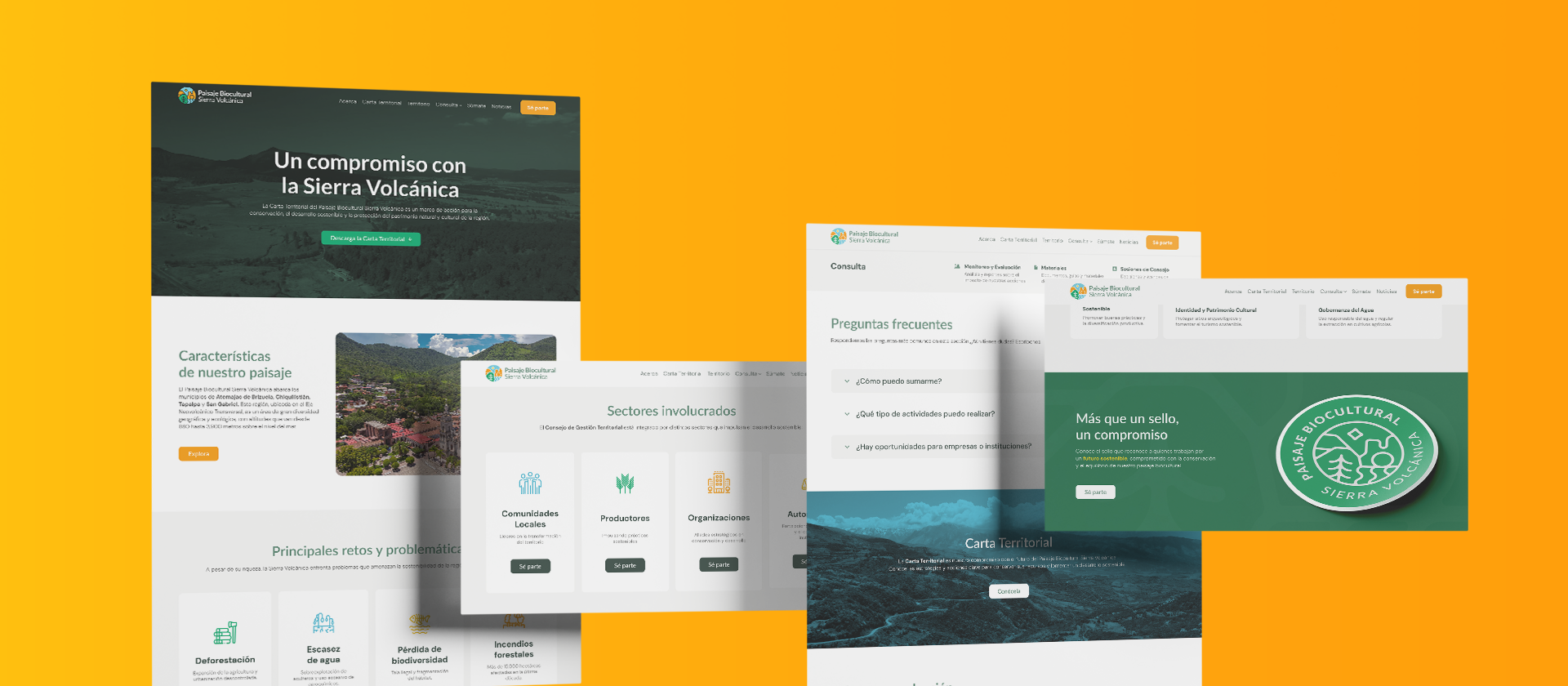 diseño-de-sitio-web