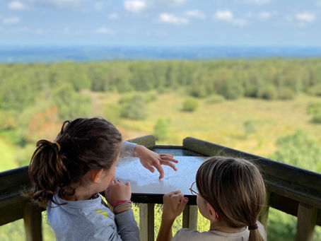 Où sont passées les cartes d'orientation de la Tour ?