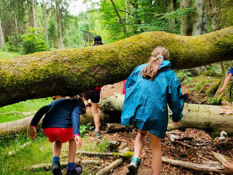 📣 Deux stages avec le CRIE ce printemps