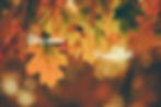 Otoño