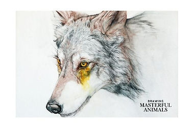 Drawing of a wolf with a little bit of yellow in the wolfs eye.